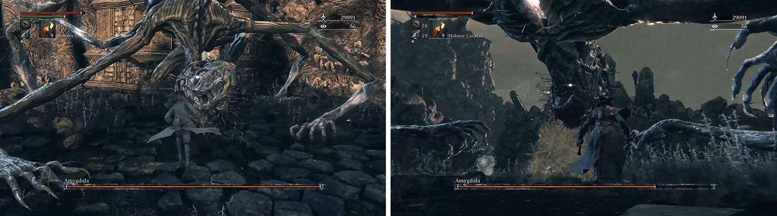 Wait for Amygdala to use a combo attack and present his head close to the ground (left) or strike after he pukes acid (right).