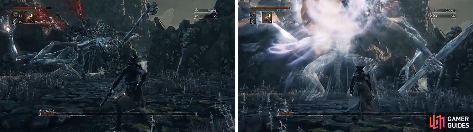 In Phase 3, watch out for the range allowed by Amygdala ripping his extra limbs off (left) and the Energy Punch attack (right).