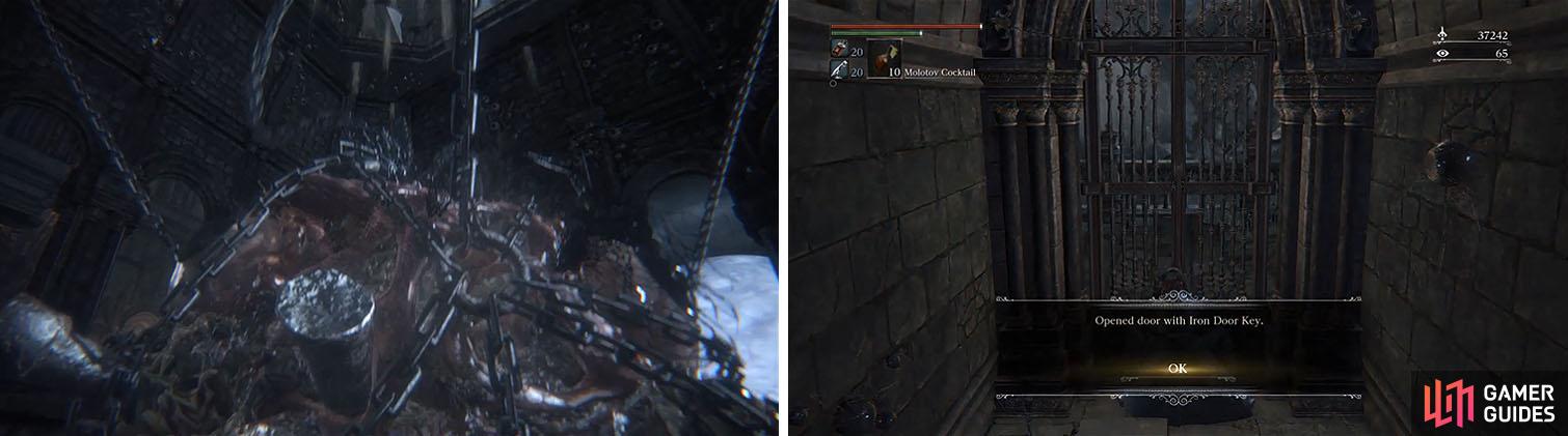 After dropping the Brain of Mensis you can access the area behind the Iron Door.