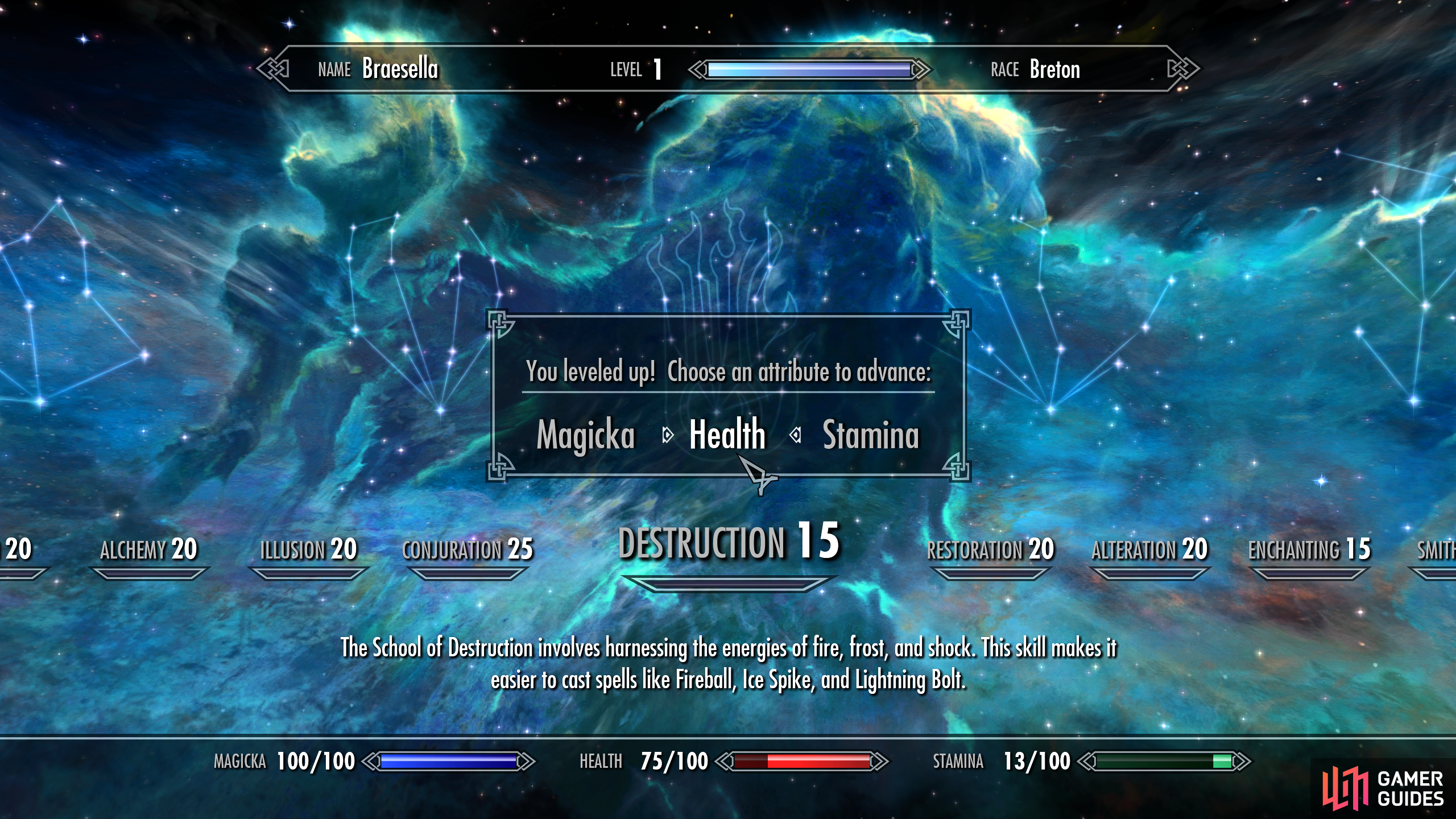 You can distribute attribute points between Magicka, Health, and Stamina each time you level up.