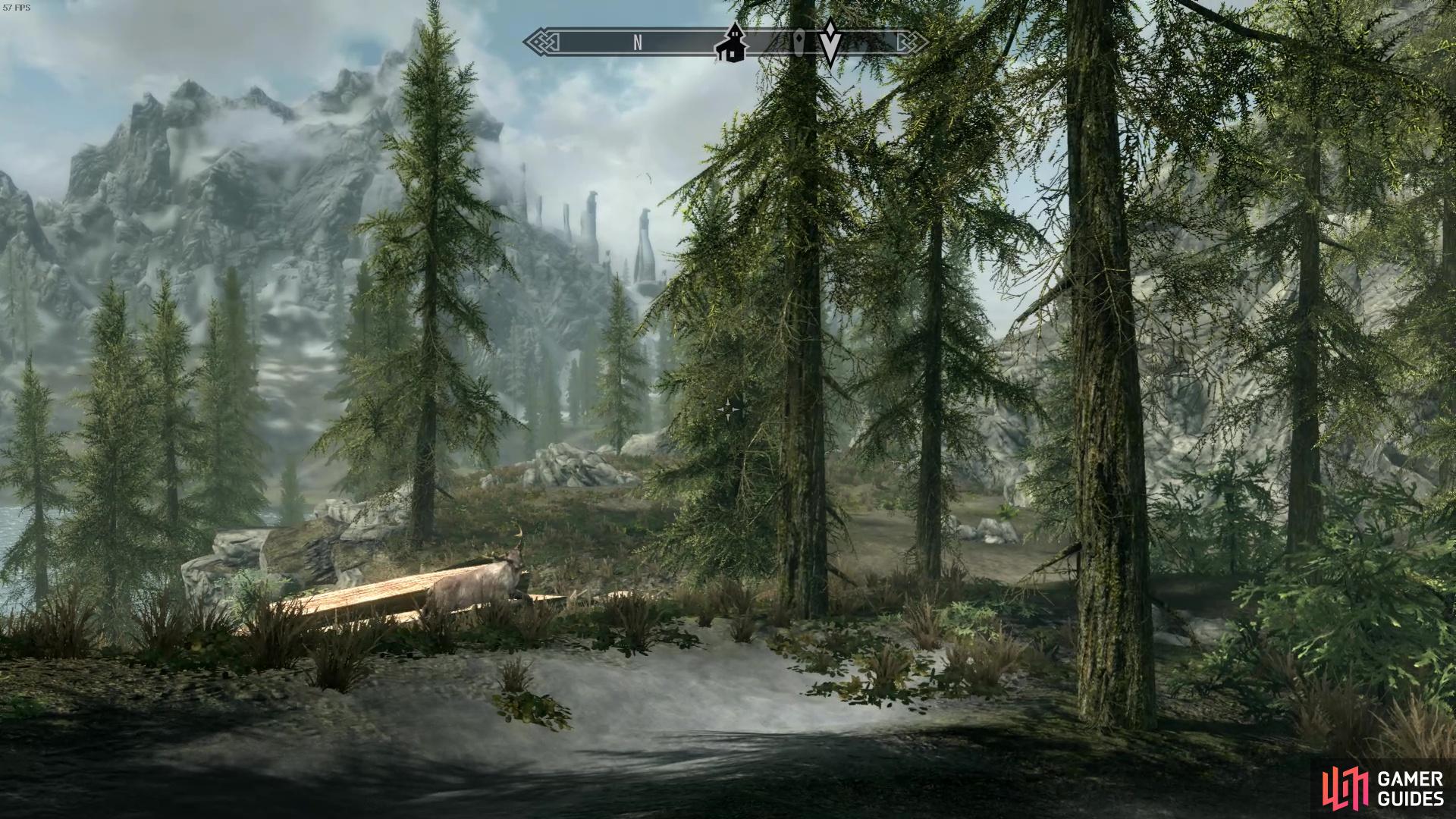 The plot of land in Falkreath is woody and overlooks a large lake. 