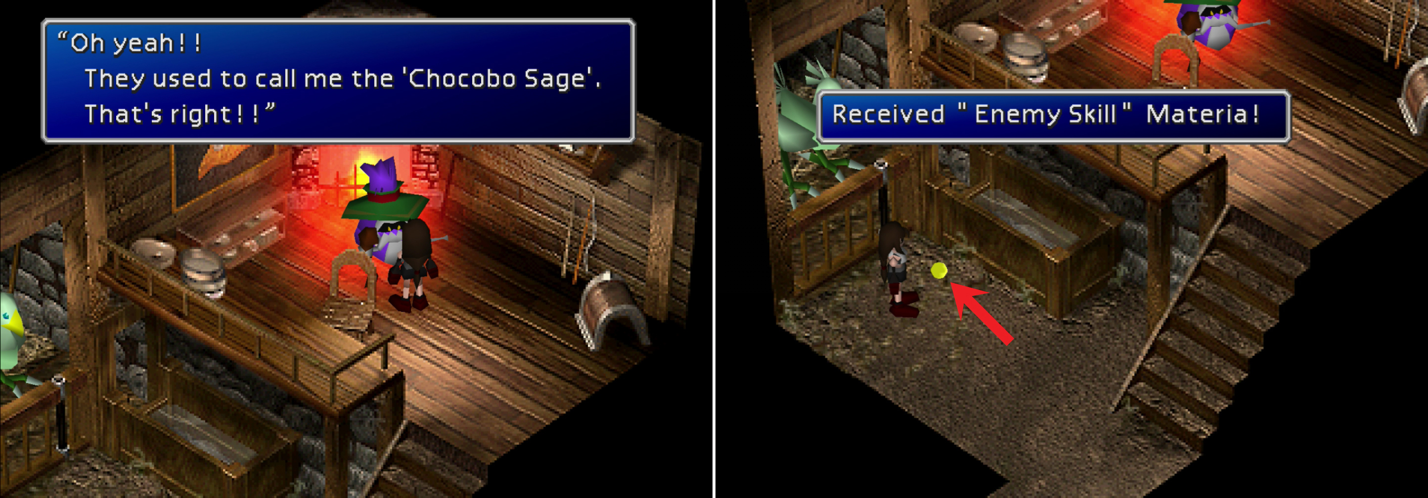 The Chocobo Sage will tell you all you need to know about breeding rare Chocobos (left). Be sure to talk to the Green Chocobo to obtain the final piece of Enemy Skill Materia (right).