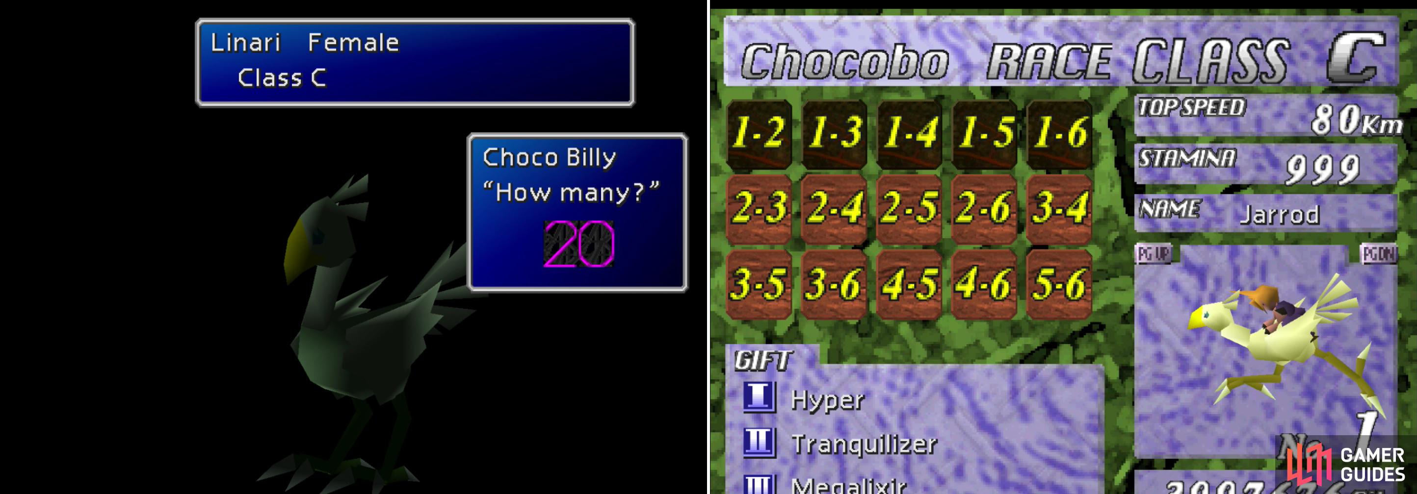 Feed your Chocobos nutritious (and expensive) Sylkis Greens to bring their racing stats up to snuff (left), then race for various prizes (right).