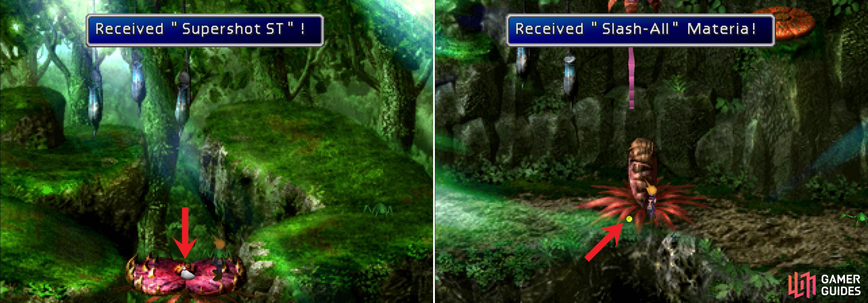 Swap a frog while standing on the carnivorous plant to score the Supershot ST (left). Use a beehive to satiate the carnivorous plant, which will allow you to grab the Slash-All Materia (right).