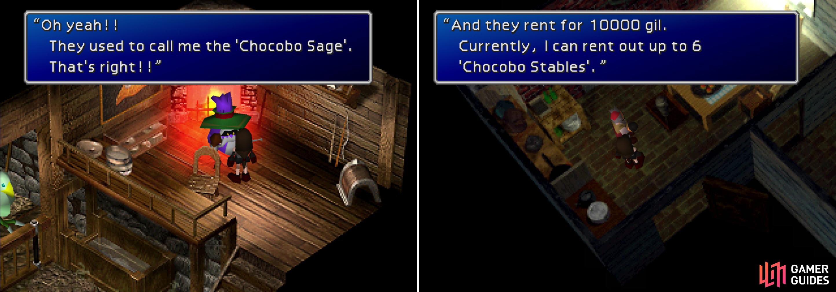 Talk to the Chocobo Sage to learn about breeding epic birds, and to buy high-quality Greens (left). Make sure to buy some stables to house your captured Chocobos! (right)