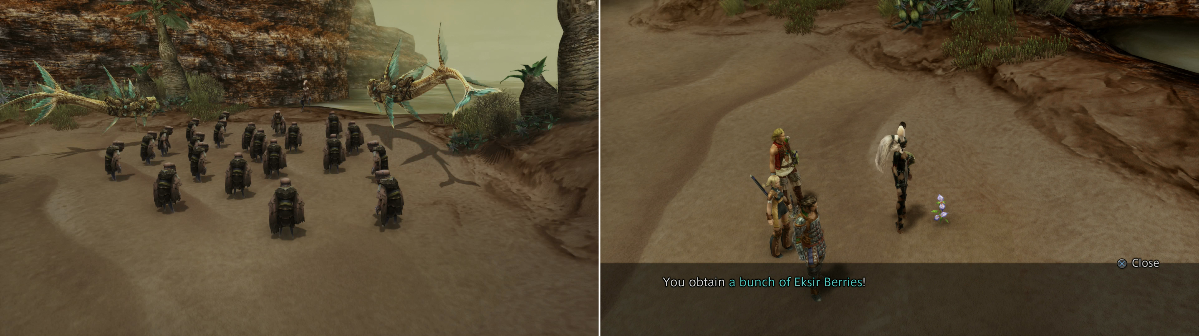 Chase down the Urutan who has your reward (left) and after his trial pick loot some Eksir Berries (right).
