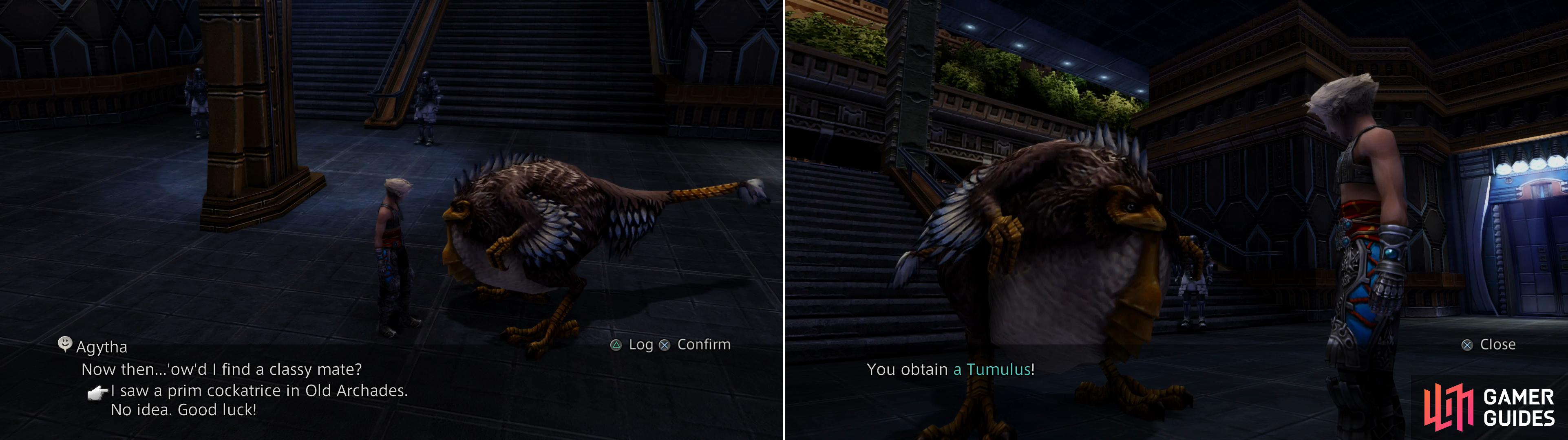 Chase down Agytha in the Grand Arcade and tell her about the Cockatrice you found in Old Archades (left) and she'll give you a Tumulus (right).