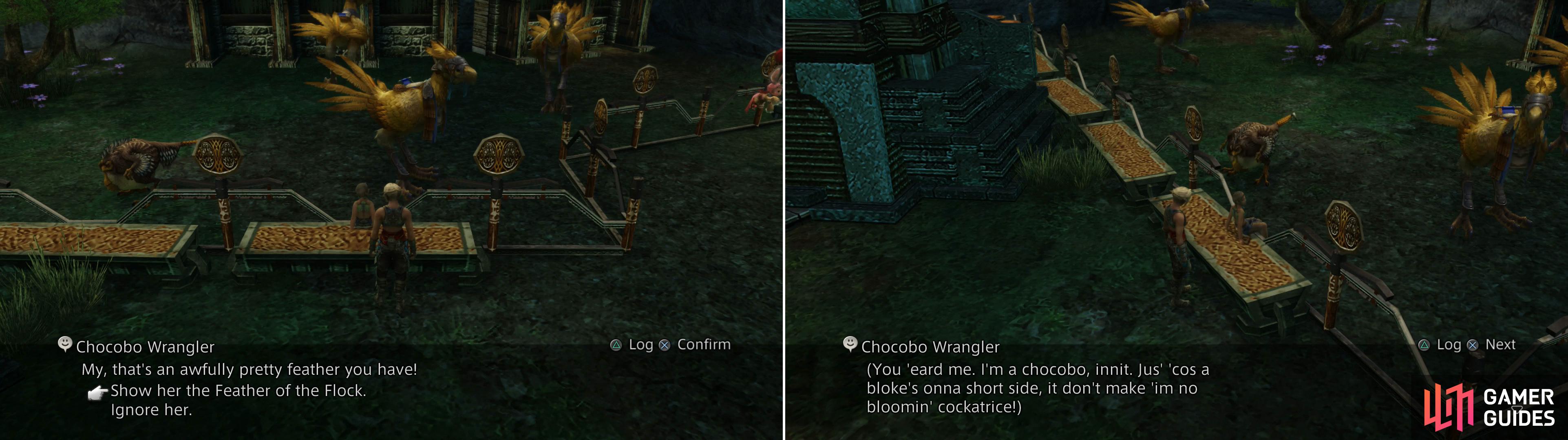 Show the Chocobo Wrangler the Feather of the Flock (left) after which you'll overhear a rather odd "Chocobo" (right).