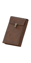 Item icon