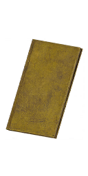 Item icon