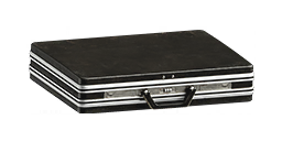 Item icon
