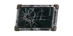 Item icon