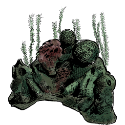 Item icon