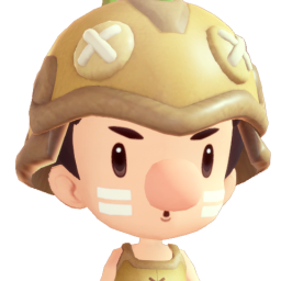 Item icon