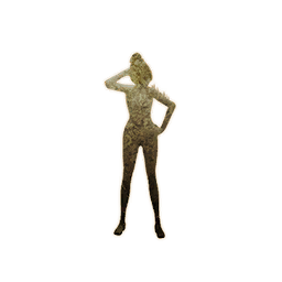 Item icon