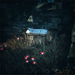 Item icon