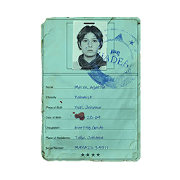 Item icon
