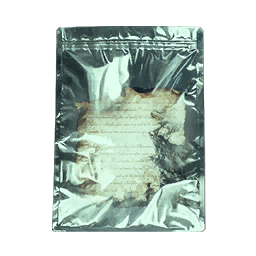 Item icon