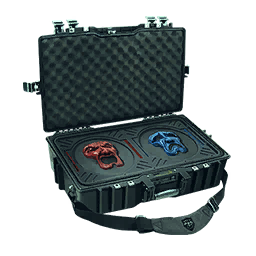 Item icon