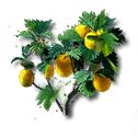 Item icon