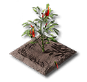 Item icon