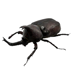 Item icon