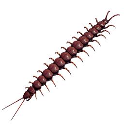 Item icon
