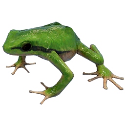 Item icon