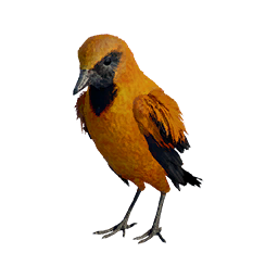 Item icon