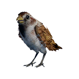 Item icon