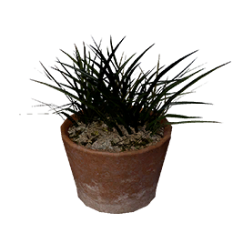 Item icon
