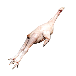 Item icon