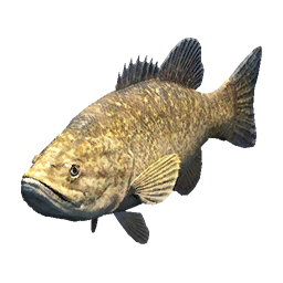 Item icon