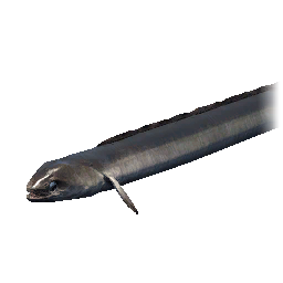 Item icon