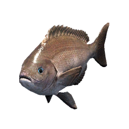 Item icon