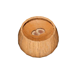 Item icon
