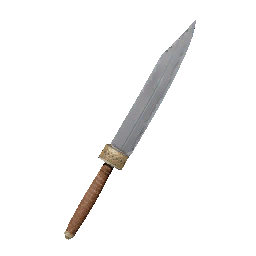 Item icon
