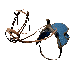 Item icon