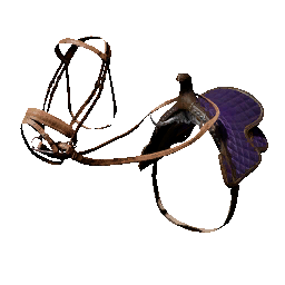 Item icon