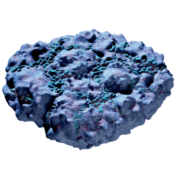 Item icon
