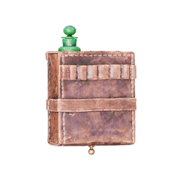 Item icon