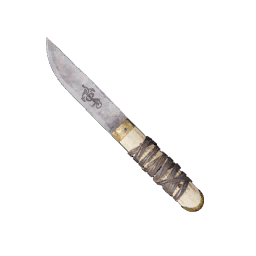 Item icon