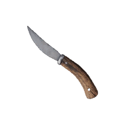Item icon
