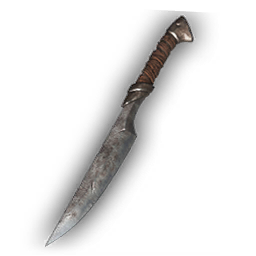 Item icon