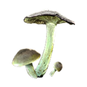 Item icon