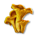 Item icon