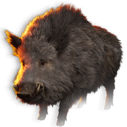 Item icon