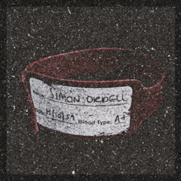 Item icon