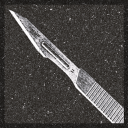 Item icon