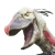 "Infected Shoebill" icon